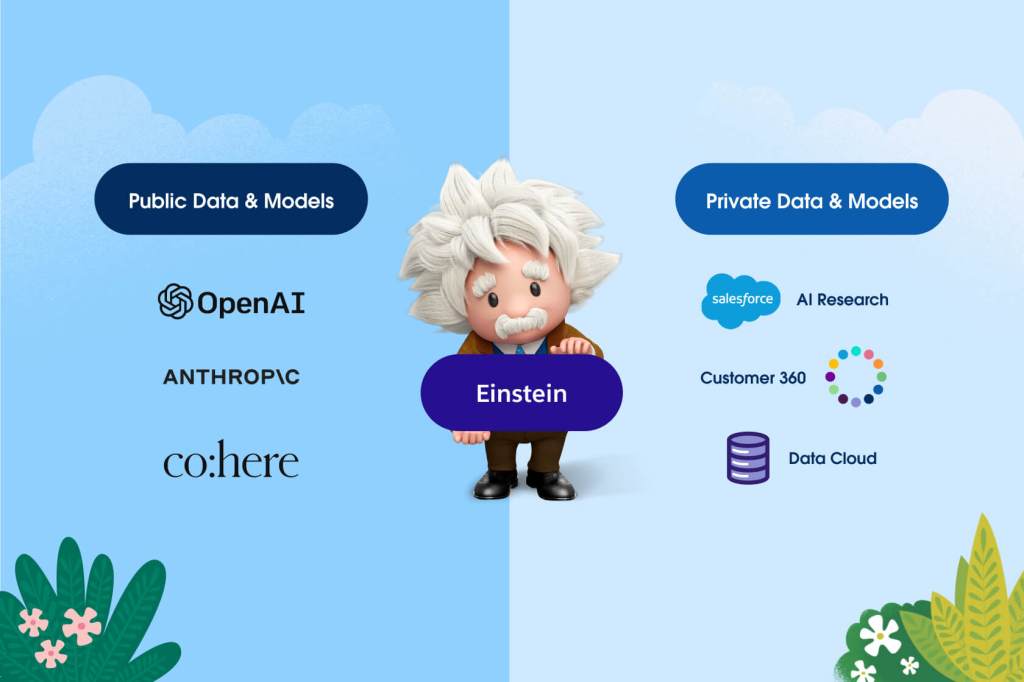 Einstein standing in the center of a split screen with "public data and models" on the left and "private data and models" on the right.