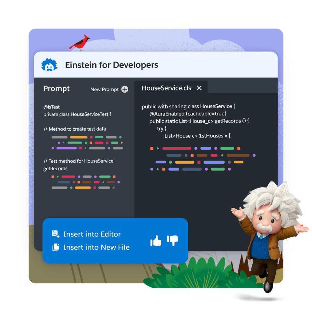 Developer code window with user prompts