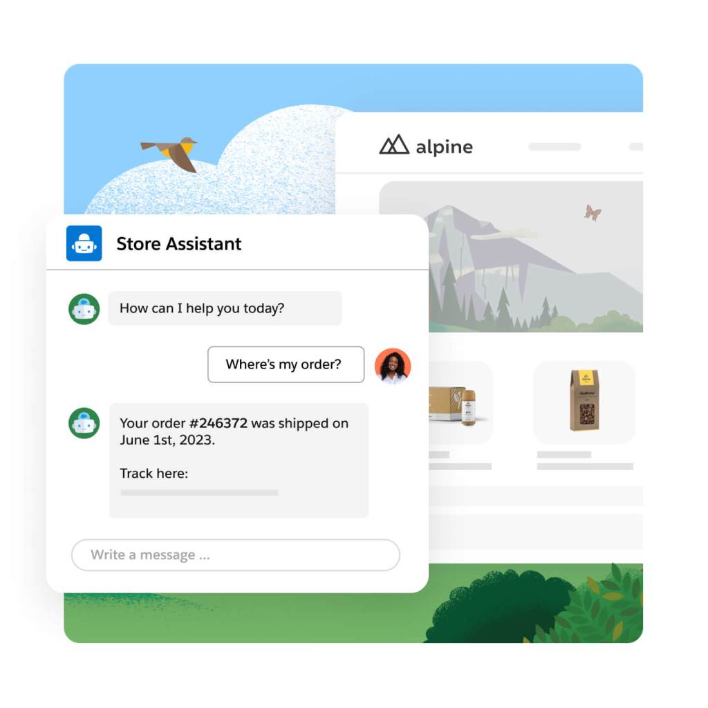 Store Assistant window open showing the following conversation, "How can I help you today?" "Where's my order?" "Your order #246372 was shipped on June 1st, 2023. Track here:"