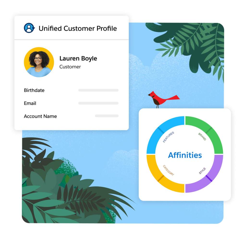 Image of a customer data profile. 