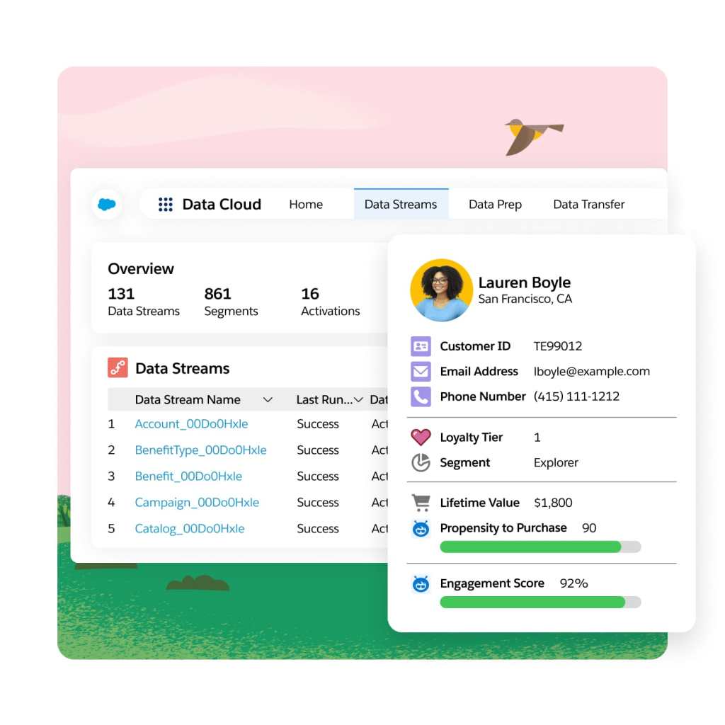 windows displaying customer data, activity, and Einstein recommended next best actions