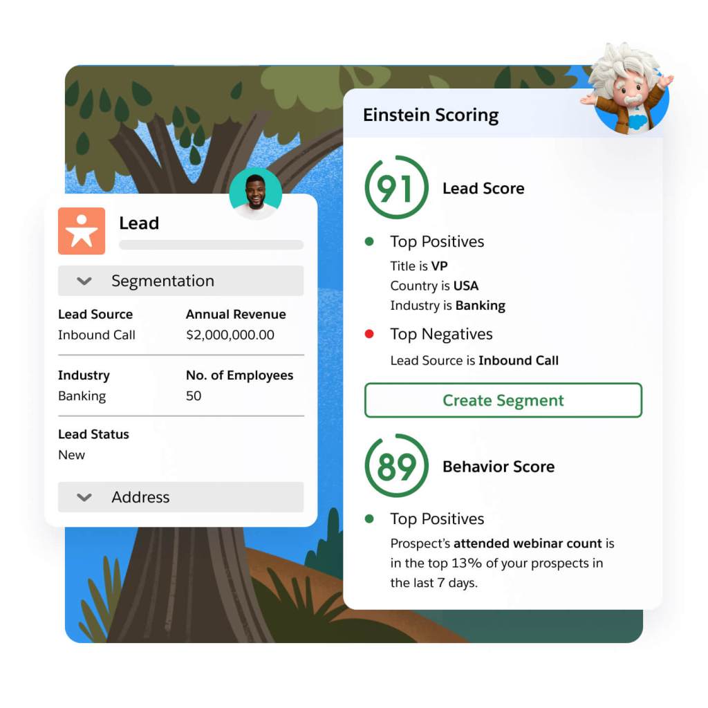 Image of Einstein behavioral scoring for a customer. 