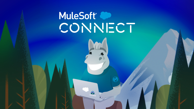 MuleSoft CONNECT