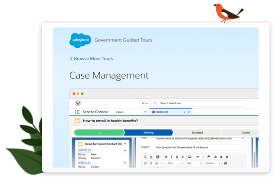 Government Guided Tours Case Managment