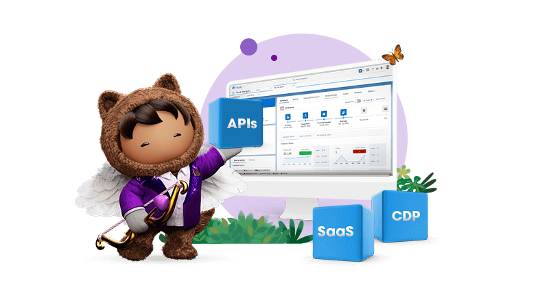 Cupid Astro holding API cube.