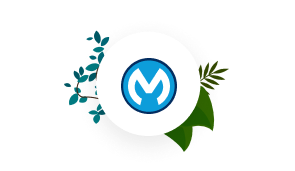 MuleSoft