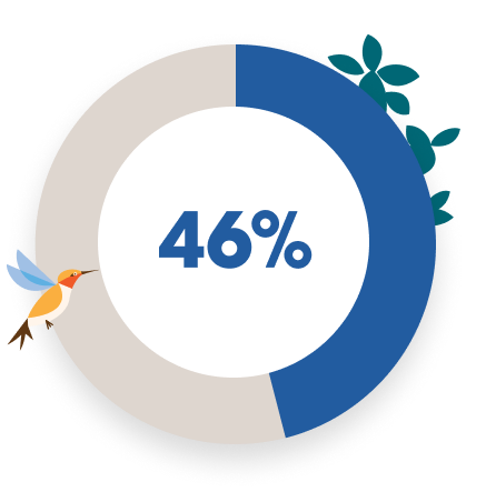 46%
