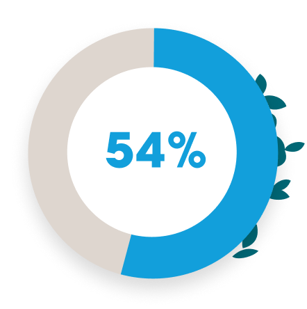 54%