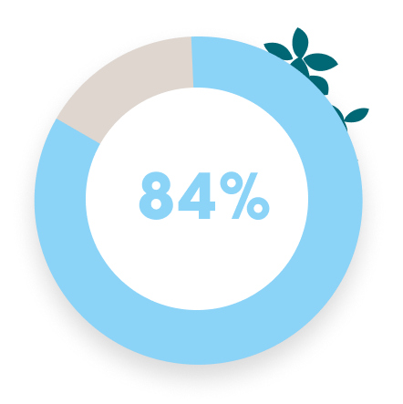 84%