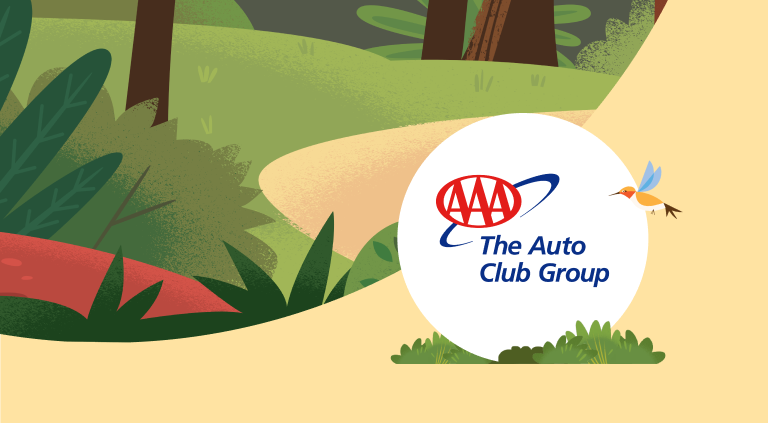 AAA resource card
