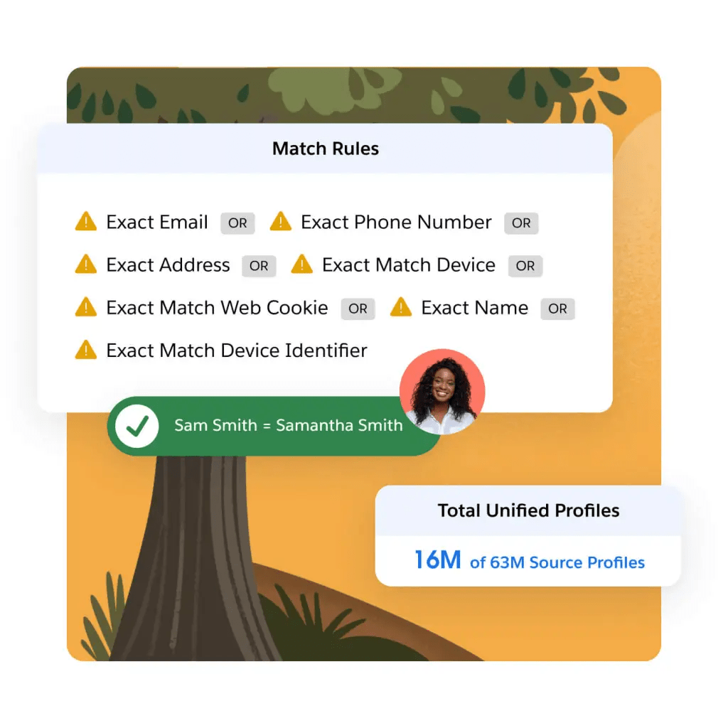 A dashboard with a customer's data.