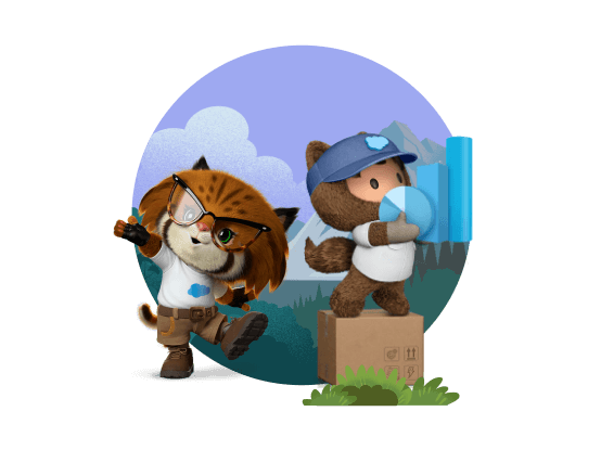 Salesforce characters