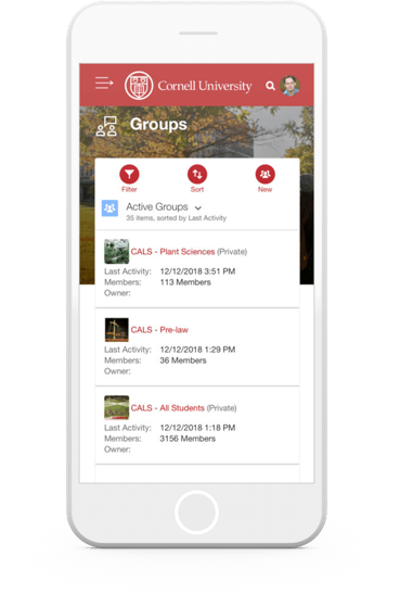 Cornell Lightning Mobile App