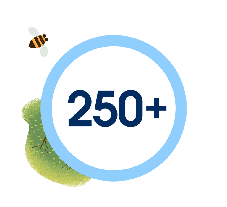 250+