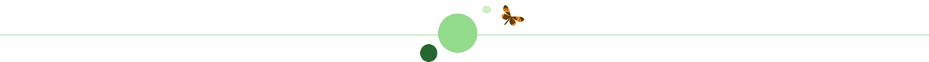 Efficiency and Productivity page seperator
