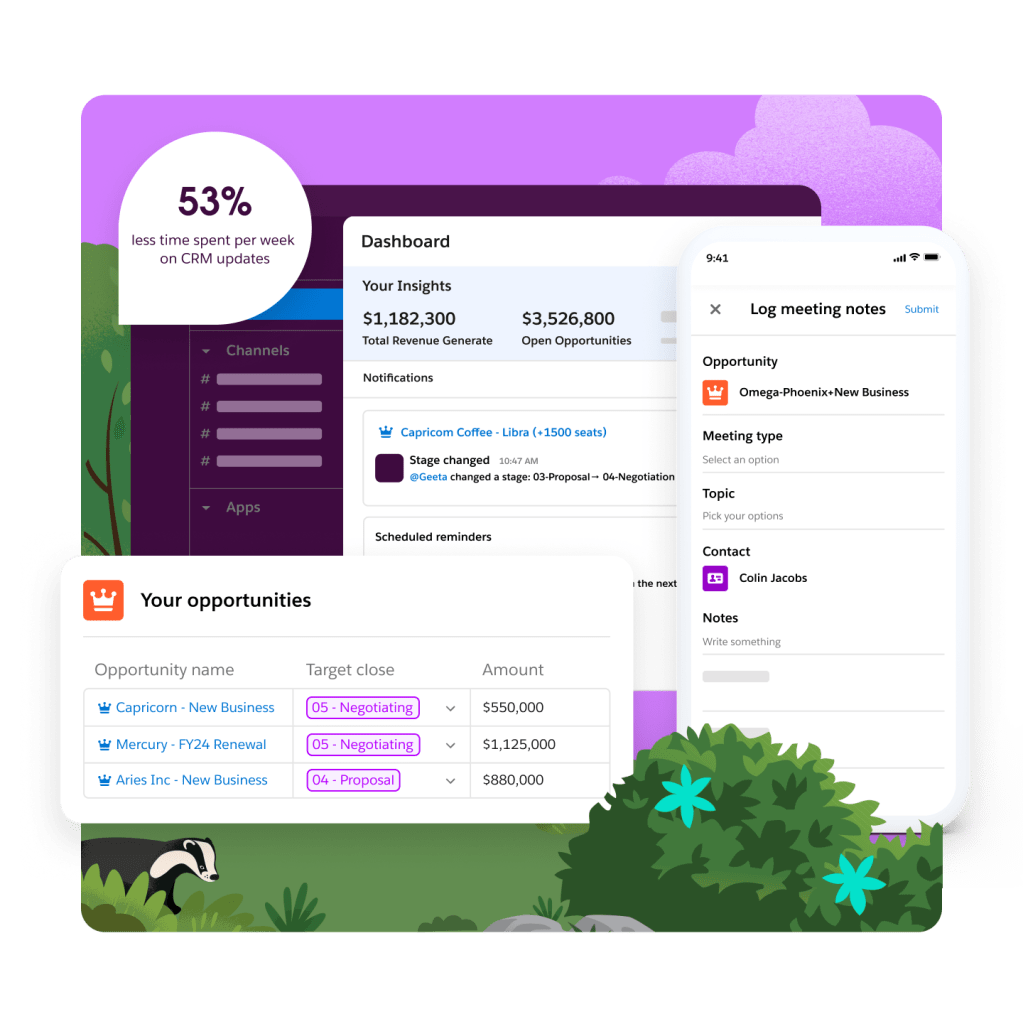 Dashboards for insights, opportunities, and log meeting notes.