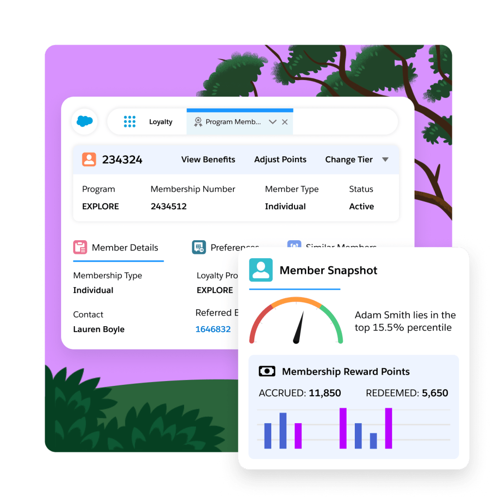 A dashboard with details of program membership with focus on Member Snapshot.